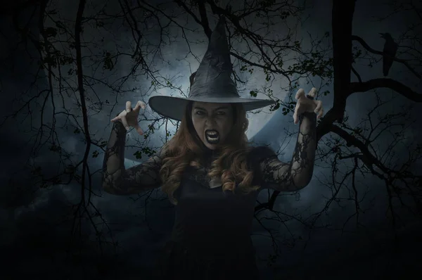 Ijesztő Halloween Boszorkány Állandó Halott Madár Telihold Kísérteties Felhős — Stock Fotó