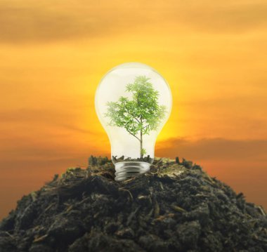 İçinde ağaç olan ampul gün batımı gökyüzü üzerindeki toprak yığını, ekolojik güç ve enerji kavramı