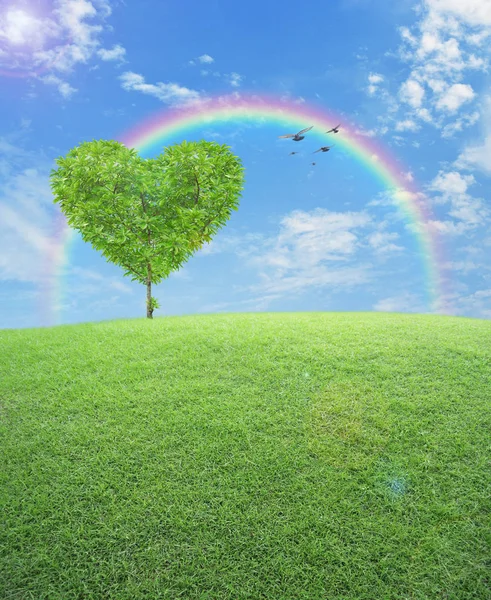 Tree Shape Heart Love Green Grass Field Blue Sky Rainbow — Stock Photo, Image