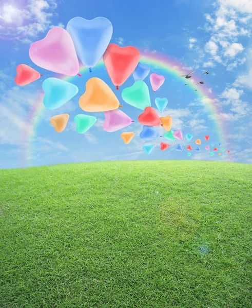 五颜六色的爱心脏气球与绿草领域在蓝天 彩虹和鸟 愉快的情人节概念 — 图库照片