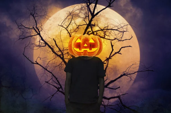 Concetto mistero Halloween — Foto Stock