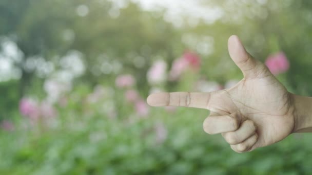 Kamera Flache Symbol Finger Über Verschwimmen Rosa Blume Und Baum — Stockvideo