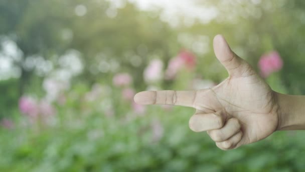 公園のぼかしピンクの花や木の上に指にシールドフラットアイコンを持つクロス形状 ビジネス健康と医療保険の概念 — ストック動画