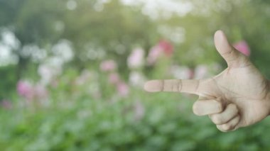 Pembe çiçek ve parktaki ağaç üzerinde rozet resmi olan araba, iş otomobili sigorta konsepti.