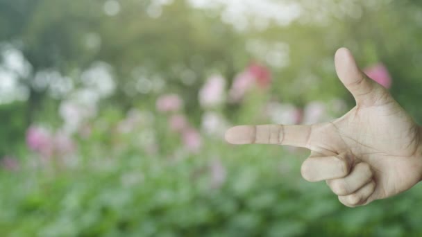 Samochód Tarczą Płaska Ikona Palcu Nad Rozmyciem Różowy Kwiat Drzewo — Wideo stockowe