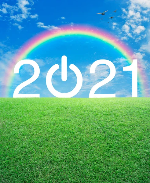 2021 Gökkuşağı Üzerinde Yeşil Çimen Tarlası Kuşlar Mavi Gökyüzü Ile — Stok fotoğraf