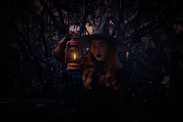 Halloween witch holding ancient lamp standing over spooky dark forest with tree, leaves and vine, Halloween mystery concept