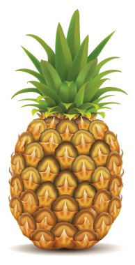 Taze ananas beyazda izole edilmiş.