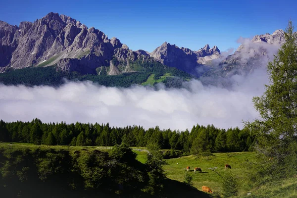 Kreuzbergpass 'ın yukarısındaki deniz bulutları ve vahşi yaşam, Güney Tyrol ve Veneto arasındaki sınırda.