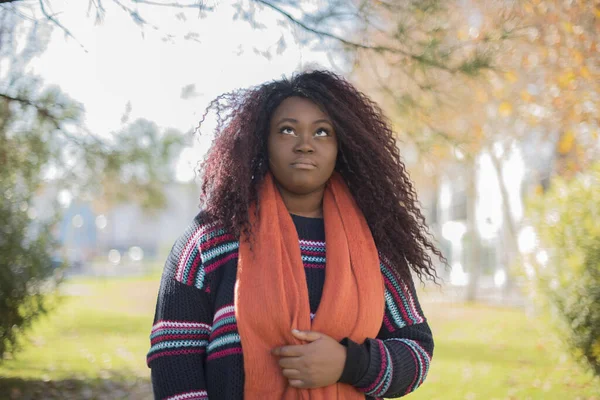 Uzun Kıvırcık Saçlı Renkli Süveter Giyen Güzel Afro Amerikan Kadın — Stok fotoğraf