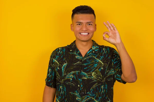 Glad attractive man shows ok sign with hand as expresses approval, has cheerful expression, being optimistic. Standing against gray wall.