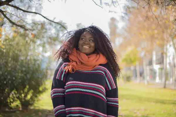 年轻美丽的非洲裔美国女人 卷曲长发 身穿五颜六色的毛衣 远眺公园 — 图库照片