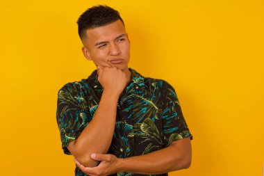 Çenesinin altında eli olan, şüpheli ve şüpheci bir ifadeyle yan bakan şık, genç bir İspanyol 'un tek portresi. Arka planda kapalı duruyor..