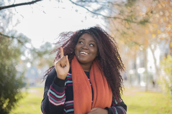 Güz Parkında Uzun Saçlı Renkli Süveter Giyen Güzel Afro Amerikan — Stok fotoğraf