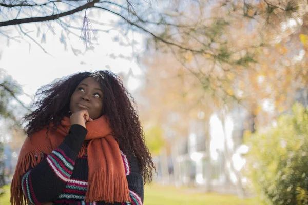 Joven Hermosa Mujer Afroamericana Con Pelo Largo Rizado Usando Suéter —  Fotos de Stock