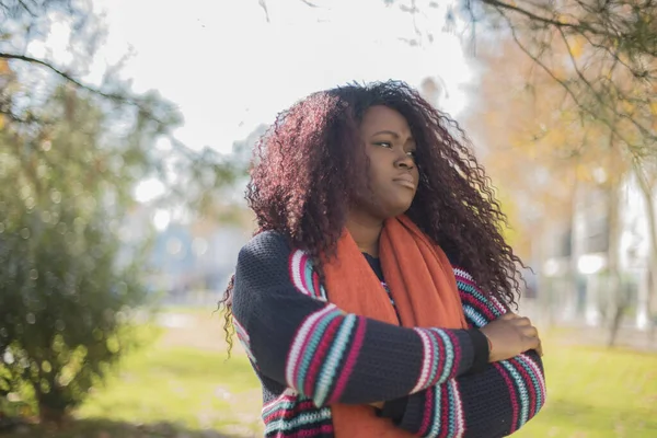 秋の公園を見下ろすカラフルなセーターを身に着けている長い髪の美しいアフリカ系アメリカ人女性 — ストック写真