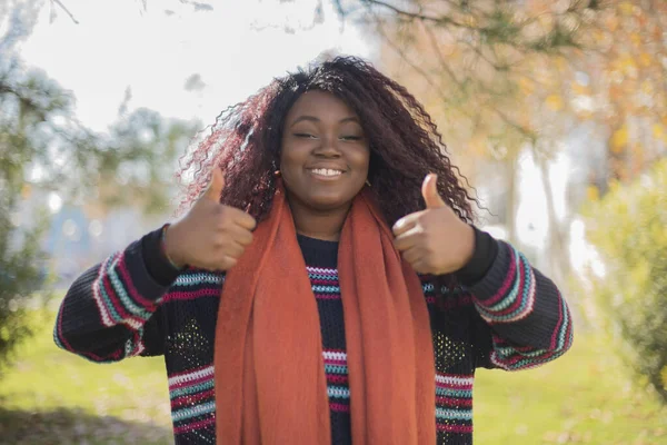 Güz Parkında Uzun Saçlı Renkli Süveter Giyen Güzel Afro Amerikan — Stok fotoğraf