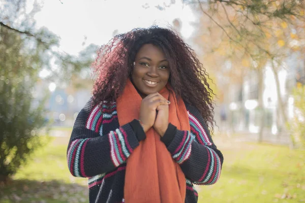 Mooie Afro Amerikaanse Vrouw Met Lang Haar Dragen Kleurrijke Trui — Stockfoto