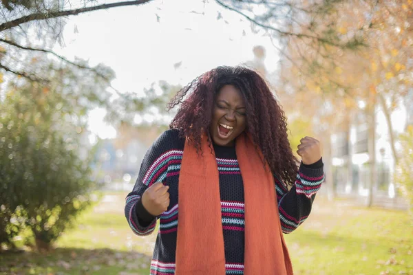 Hermosa Mujer Afroamericana Con Pelo Largo Vistiendo Suéter Colorido Celebrando —  Fotos de Stock