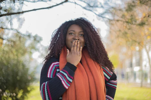 Uzun Saçlı Renkli Kazak Giyen Güzel Afro Amerikalı Kadın Sonbahar — Stok fotoğraf