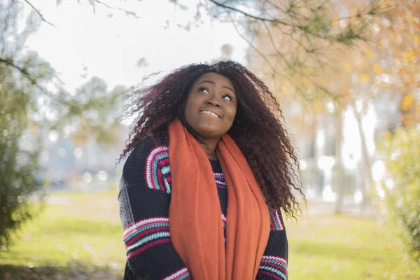 Uzun Kıvırcık Saçlı Renkli Süveter Giyen Güzel Afro Amerikan Kadın — Stok fotoğraf