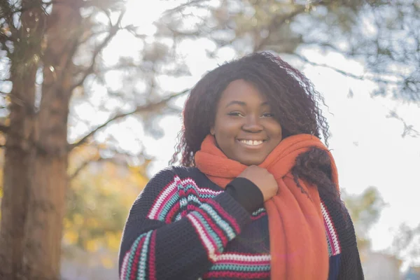 Mooie Afro Amerikaanse Vrouw Met Lang Haar Dragen Kleurrijke Trui — Stockfoto