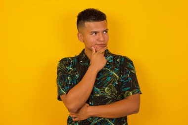 Çenesinin altında eli olan, kuşkulu ve şüpheci bir ifade, endişe ve şüpheyle bakan zarif, genç bir İspanyol 'un ayrı bir portresi. Arka planda kapalı duruyor..