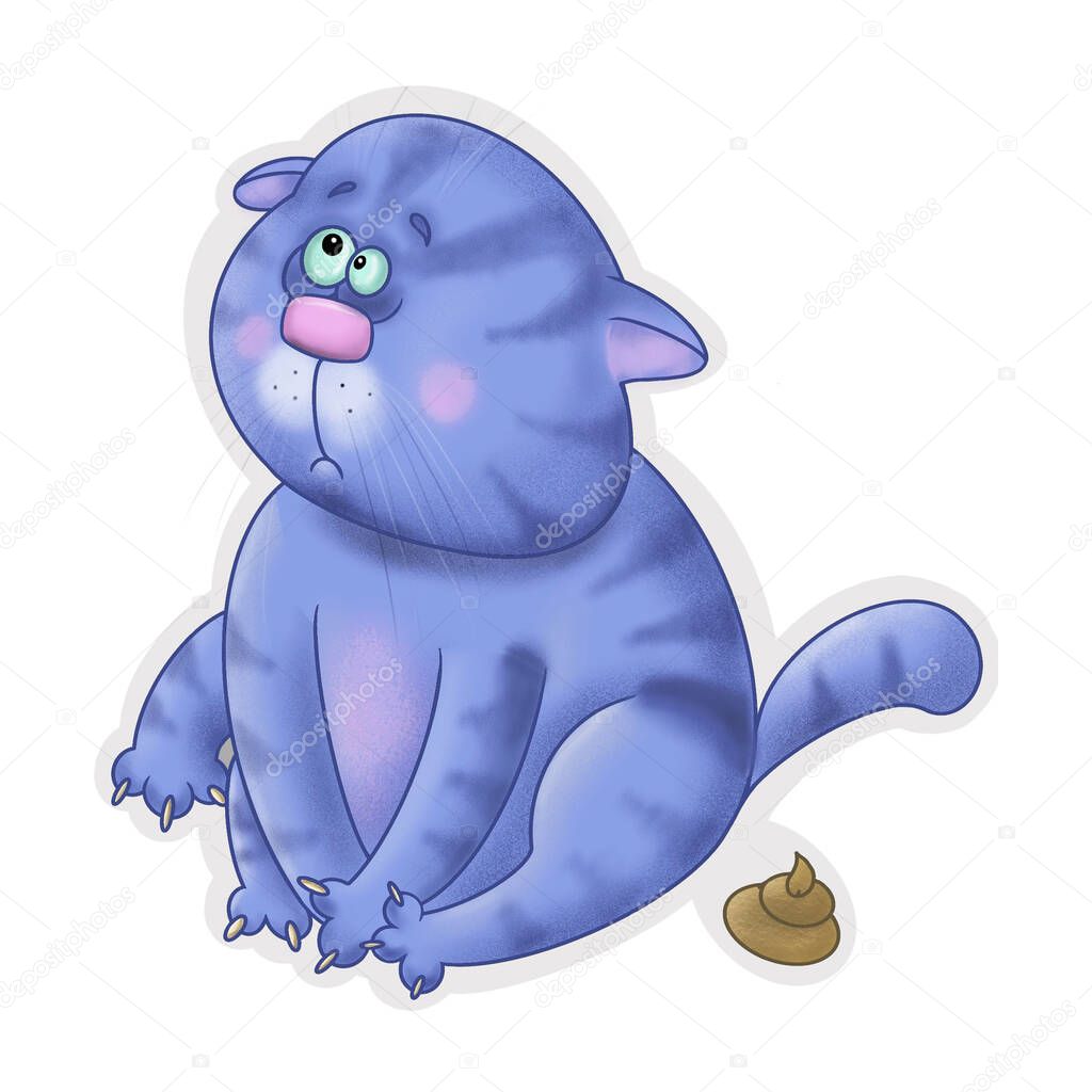 blue cute pear cat pooped