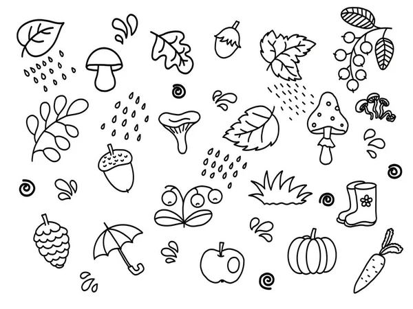 Autumn Doodles White Background Leaves Mushrooms Berries Pumpkin Nuts Carrots — Stock Photo, Image