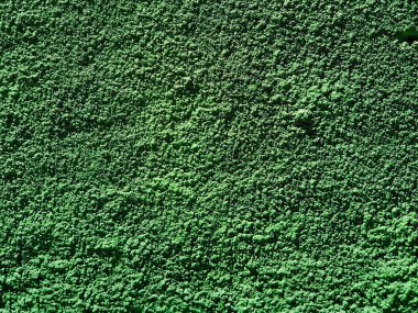 Dekoratif kabarık yeşil alçı ceket.