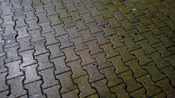 Pavimentación Losas Después Lluvia Antecedentes — Foto de Stock