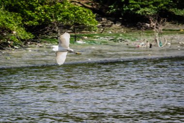 Brezilya şehirleri - Recife, Beden Eğitimi