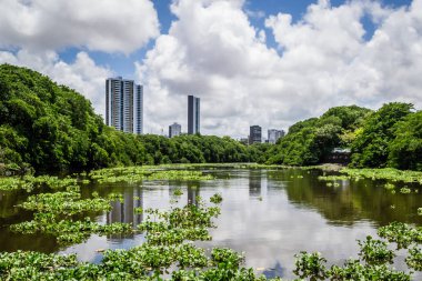 Brezilya şehirleri - Recife, Beden Eğitimi