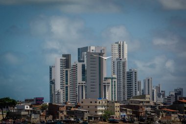 Brezilya şehirleri - Recife, Beden Eğitimi