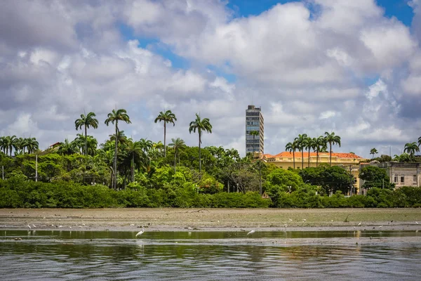 Steden Van Brazilië Recife — Stockfoto
