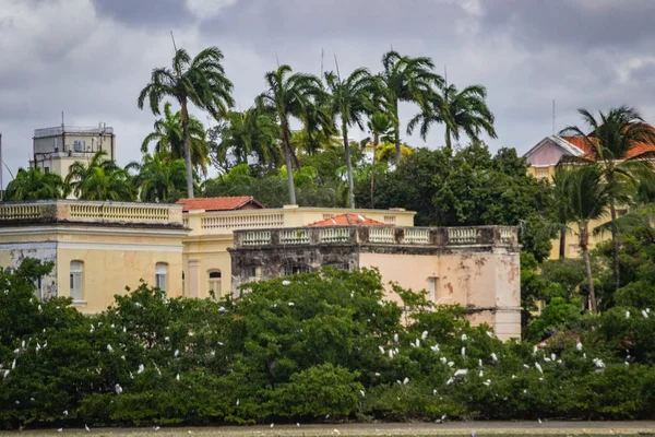 Města Brazílie Recife — Stock fotografie