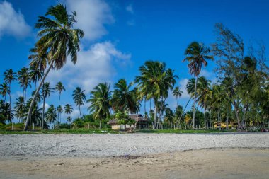 Brezilya - Maragogi, Alagoas devlet plajları