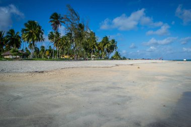 Brezilya - Maragogi, Alagoas devlet plajları