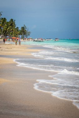 Brezilya - Maragogi, Alagoas devlet plajları