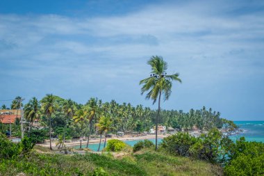 Brezilya - Maragogi, Alagoas devlet plajları