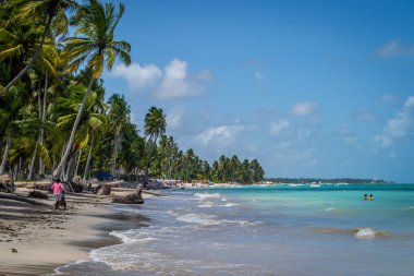 Brezilya - Maragogi, Alagoas devlet plajları