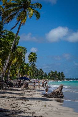 Brezilya - Maragogi, Alagoas devlet plajları