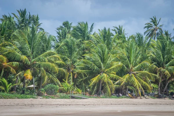 Stranden Van Brazilië Maragogi Braziliaanse Staat Alagoas — Stockfoto