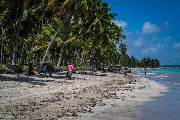 Stranden Van Brazilië Maragogi Braziliaanse Staat Alagoas — Stockfoto