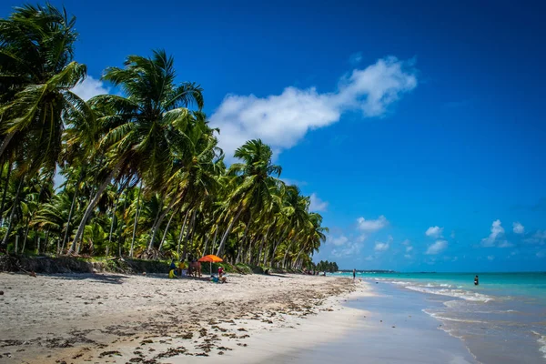 Playas Brasil Maragogi Estado Alagoas — Foto de Stock