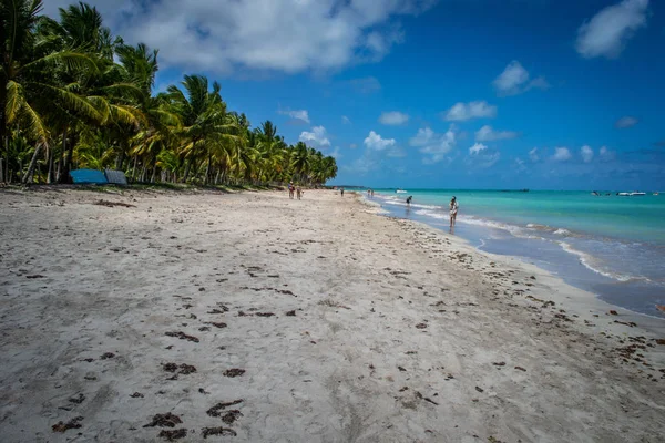 Stranden Van Brazilië Maragogi Braziliaanse Staat Alagoas — Stockfoto