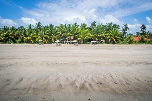 Stranden Van Brazilië Maragogi Braziliaanse Staat Alagoas — Stockfoto