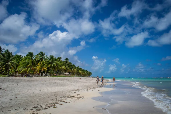 Pláže Brazílii Maragogi Státu Alagoas — Stock fotografie