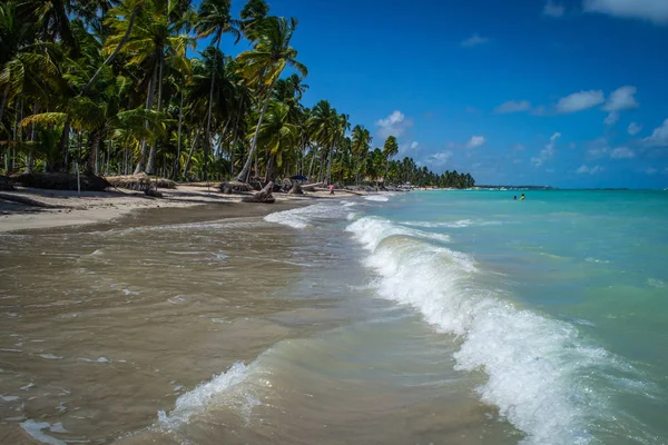 Plaże Stanie Alagoas Brazylia Maragogi — Zdjęcie stockowe