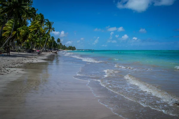 Stranden Van Brazilië Maragogi Braziliaanse Staat Alagoas — Stockfoto